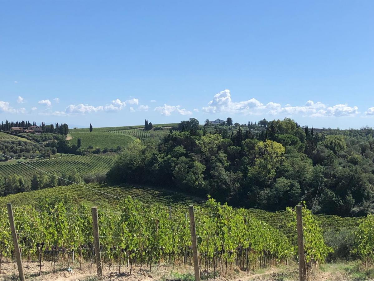 Villa Casale il Fontanellino San Miniato Esterno foto