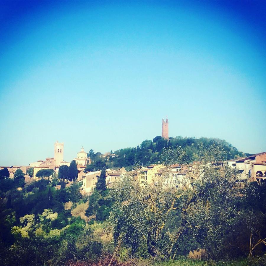 Villa Casale il Fontanellino San Miniato Esterno foto